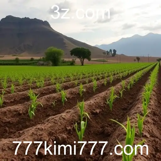 Revolução nos Jogos Online: O Impacto de 'kimi777'